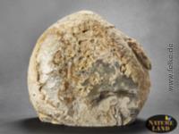 Achat Geode (Unikat No.131) - 19,6 kg