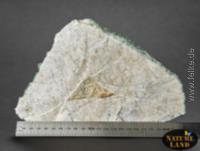 Fluorit Kristall (Unikat No.88) - 3 kg