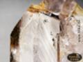 Bergkristall/ Amethyst-Zepter (Unikat No.01) - 3721 g
