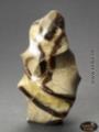 Septarie, Skulptur (Unikat No.20) - 501 g