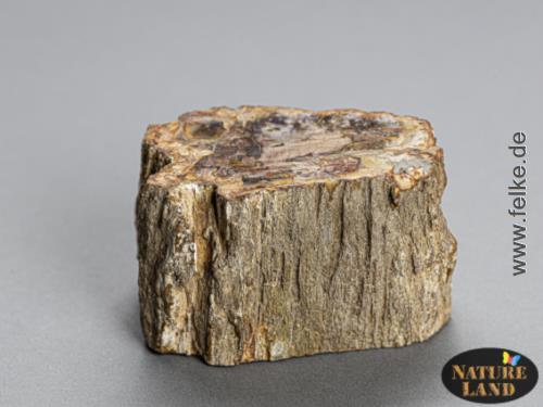 Versteinertes Holz (Unikat No.05) - 305 g