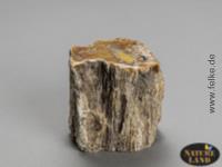 Versteinertes Holz (Unikat No.08) - 493 g