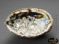 Abalone Perlmutt Schale mit Bergkristall, 125 g