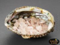 Abalone Perlmutt Schale mit Rosenquarz, 125 g