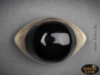 Achat - Shiva Auge