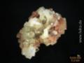 Aragonit - Rötlich braun mit hellen Kristallen