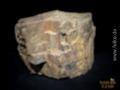 Versteinertes Holz / Dendrolith - Rohstein 500 g
