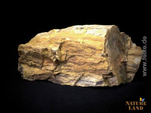 Versteinertes Holz / Dendrolith - Rohstein 2 kg